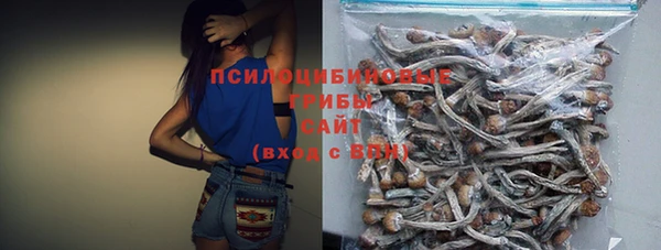 не бодяженный Алексин
